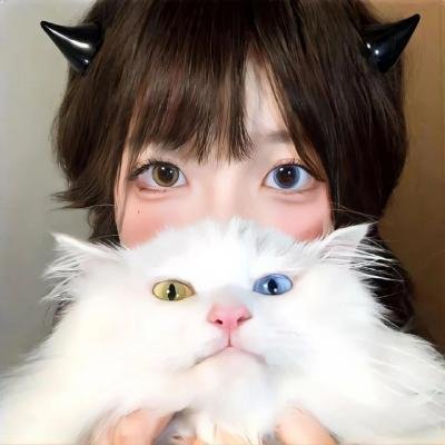 留给吾爱的日记海报